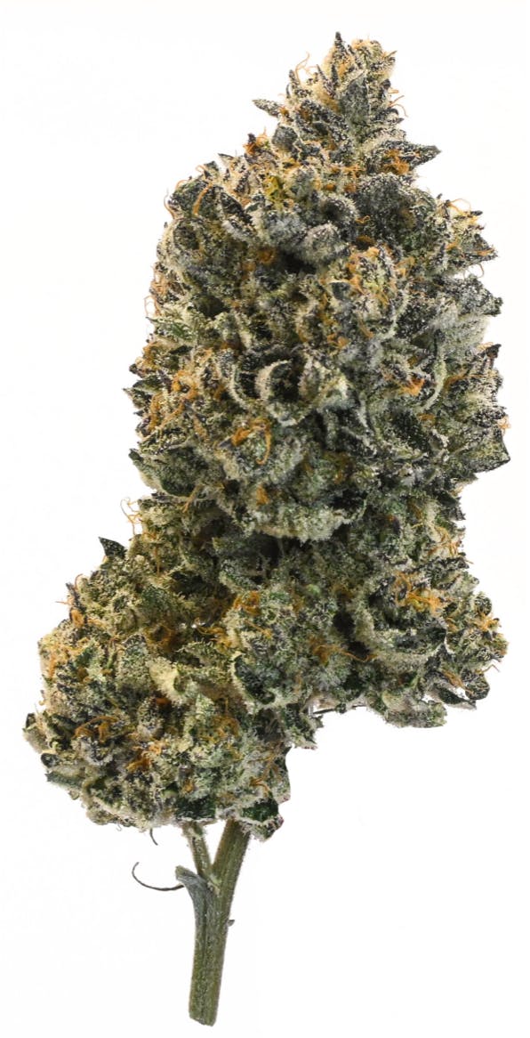 Cold Snap - image 1