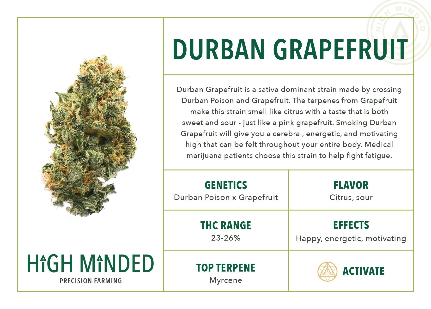 Durban Grapefruit - image 2