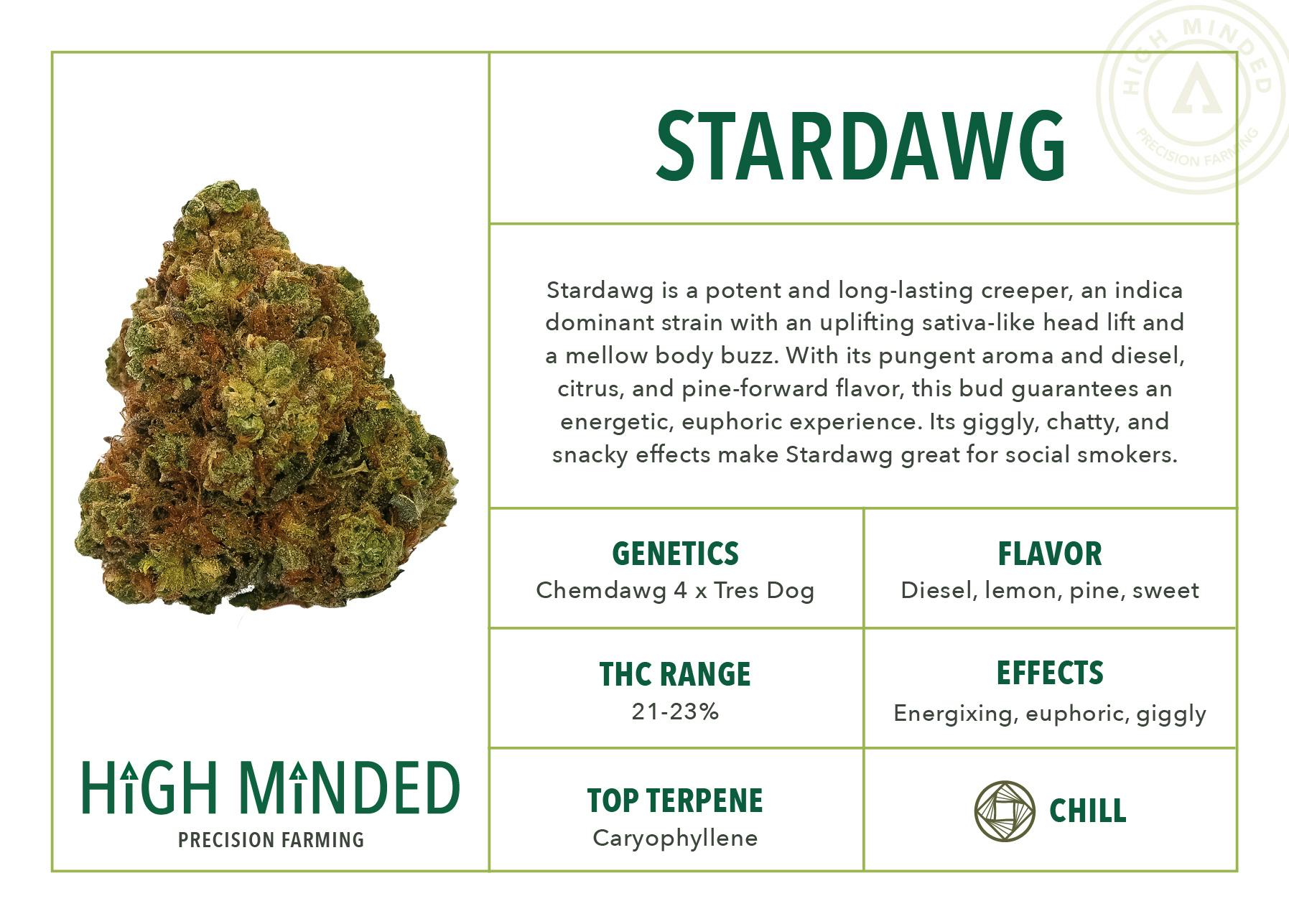 Stardawg - image 1