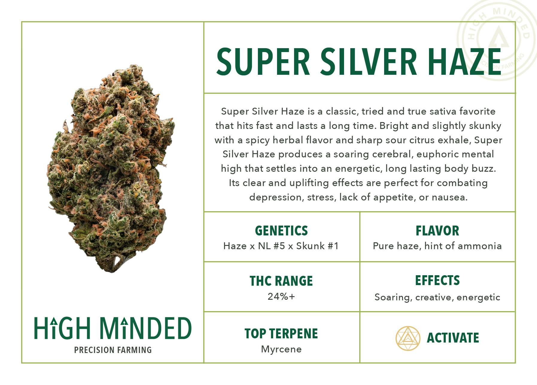 Super Silver Haze - image 2