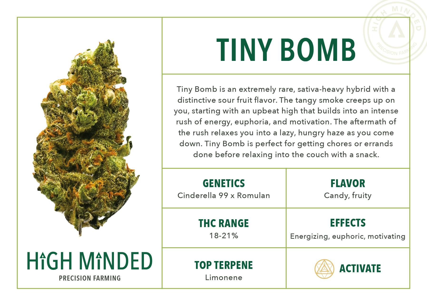Tiny Bomb - image 2