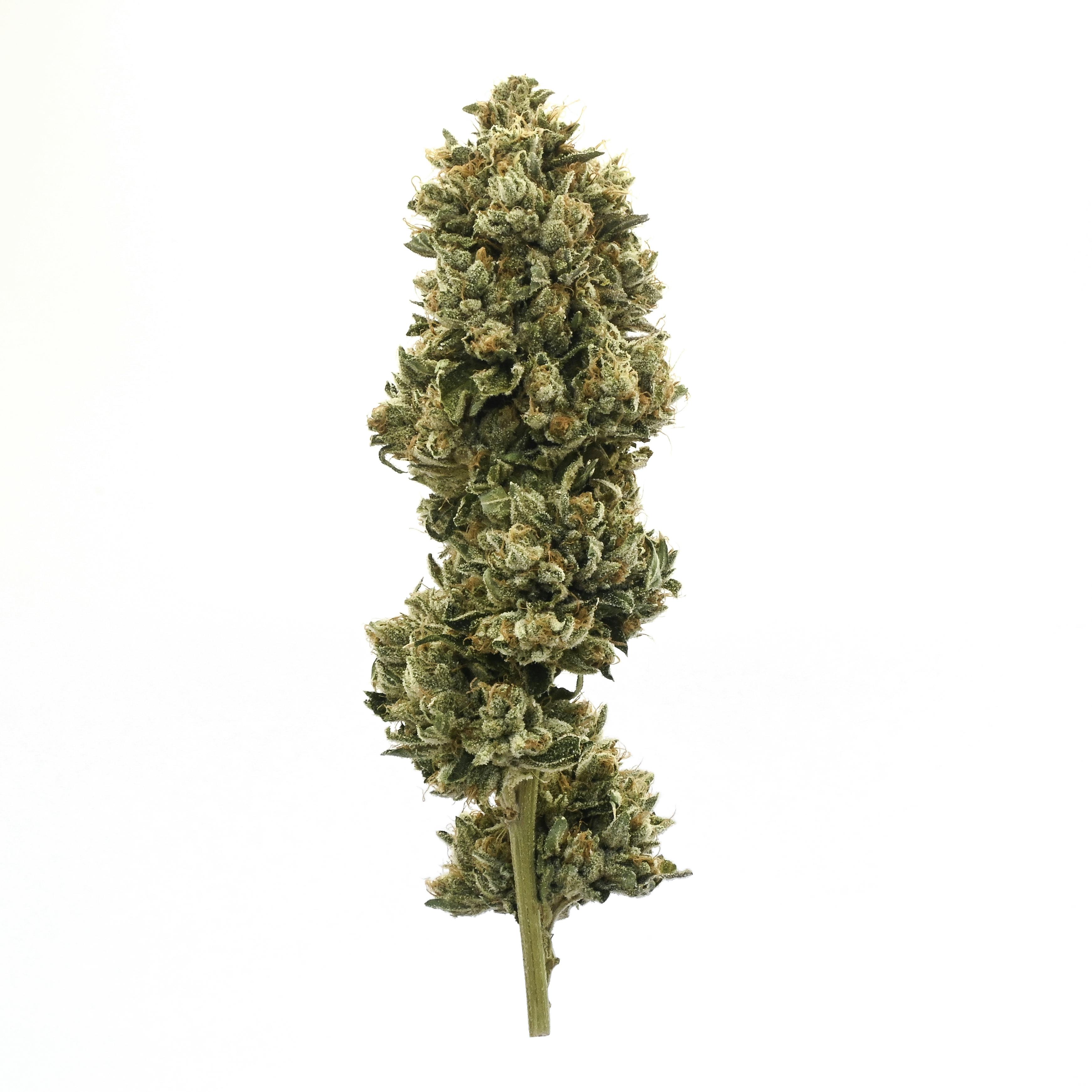 Triangle Kush - image 1