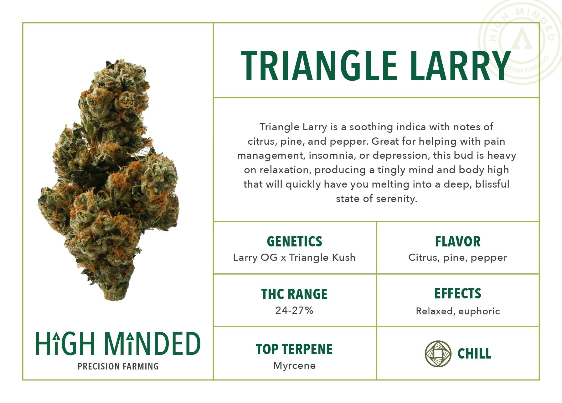 Triangle Larry - image 2