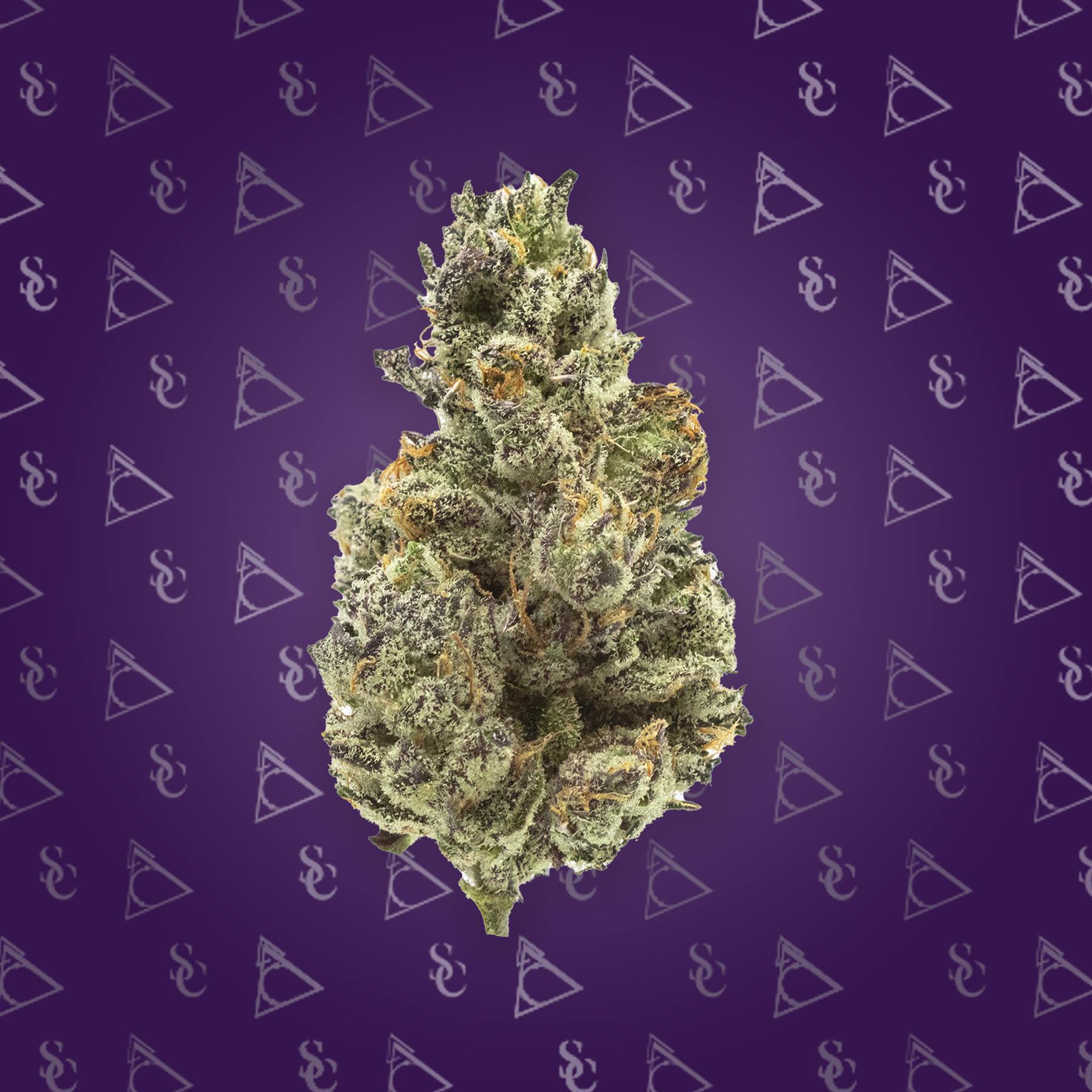 Society C - White Truffle - 3.5g Flower - image 2