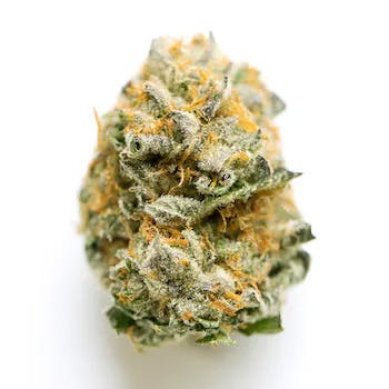 Brown Bag Genetics - Valley OG - image 2