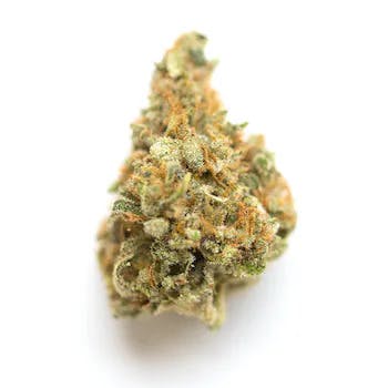 Cream-Mellow Mango - image 2