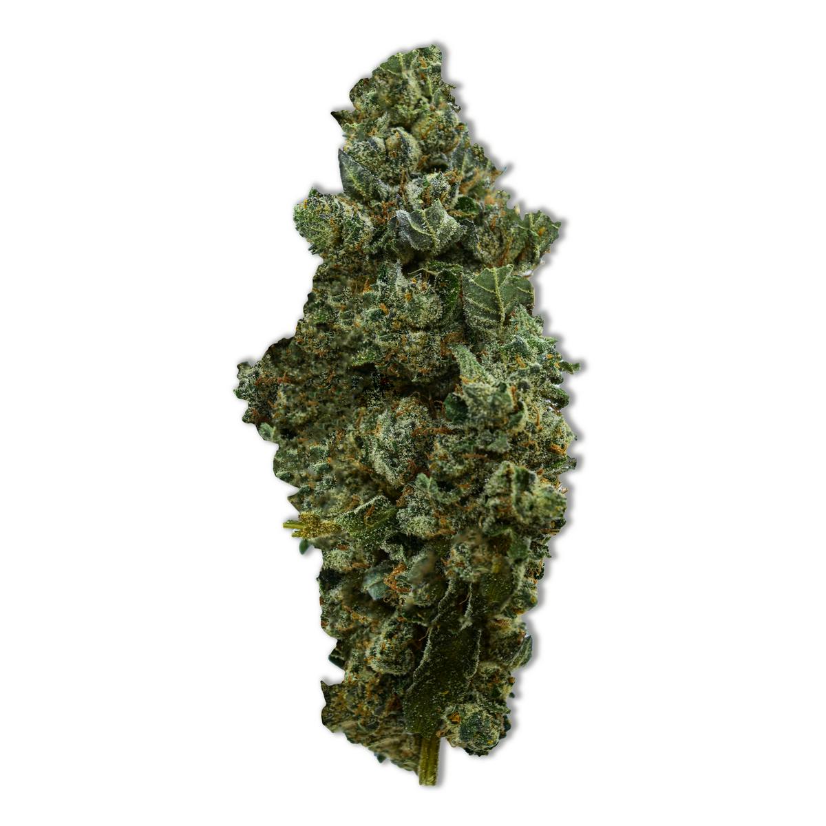 Common Citizen Electric Peanut Butter Cookies PrePackaged 7g - image 1