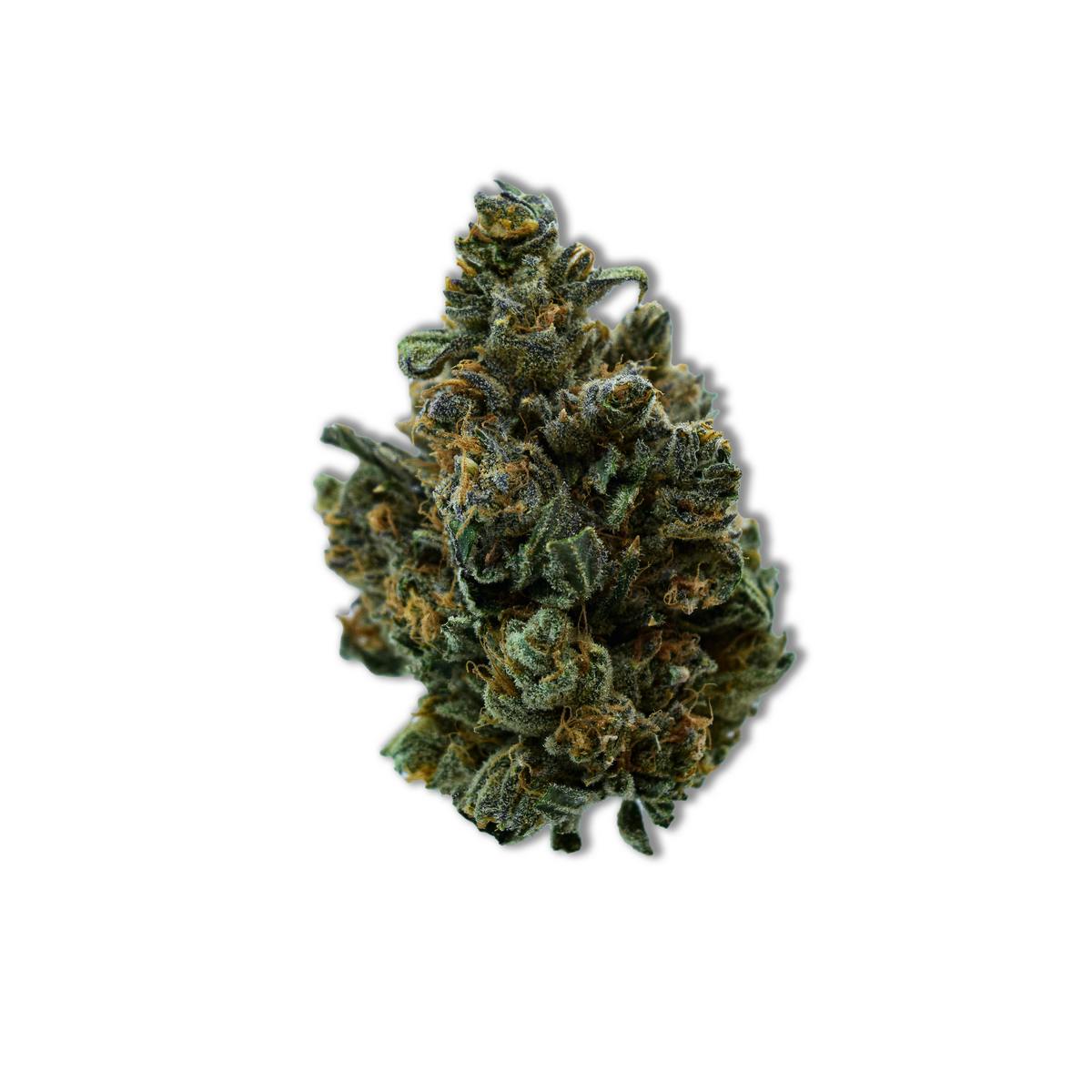 Common Citizen Gelato Cookies PrePackaged 7g - image 1