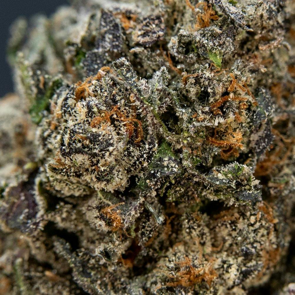 ThatGas | Pink Runtz - 3.5g Flower - image 3