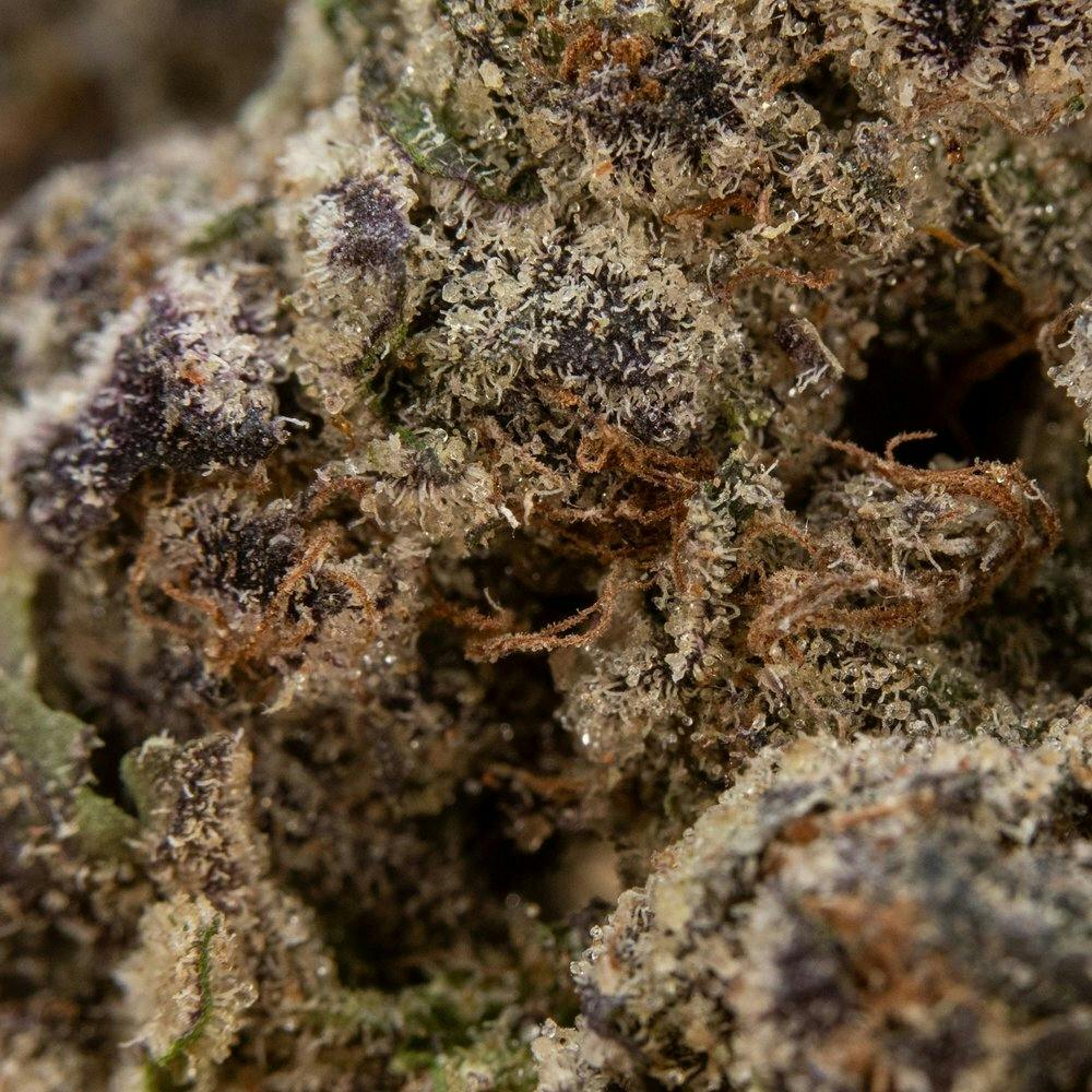 ThatGas | Jealous? - 3.5g Flower - image 4