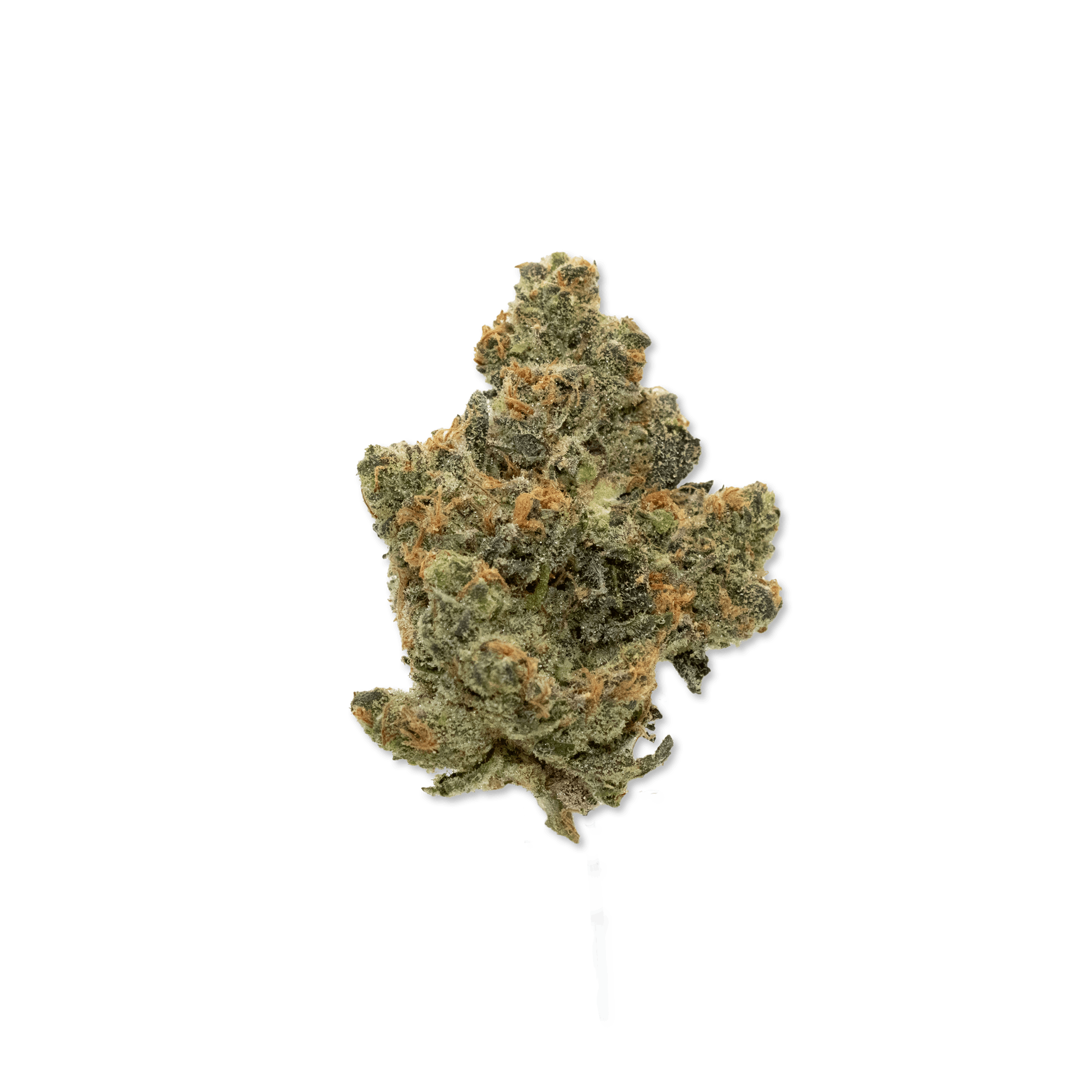 Society C - Rainbow Runtz - 3.5g Flower - image 1