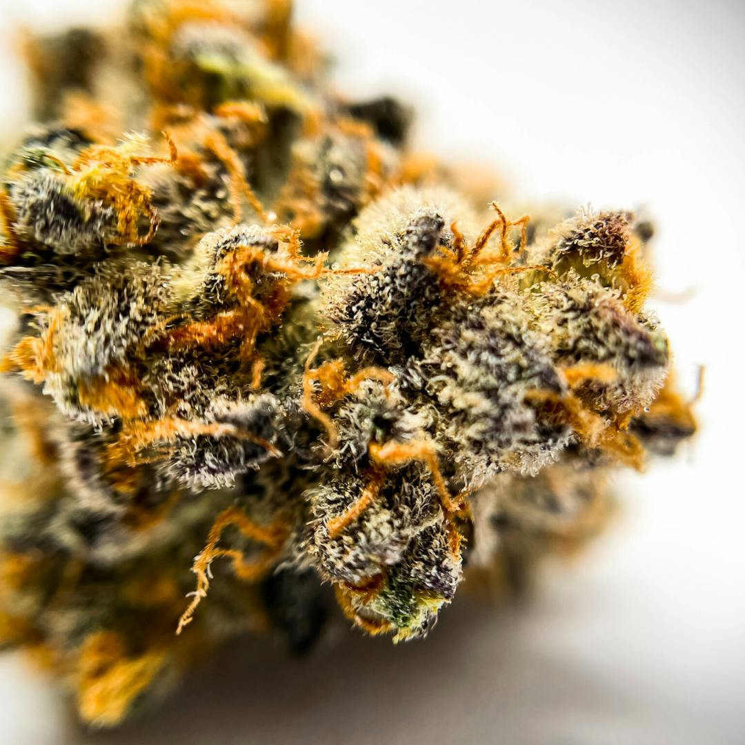 Jelly Pancakes 3.5g Flower - image 1