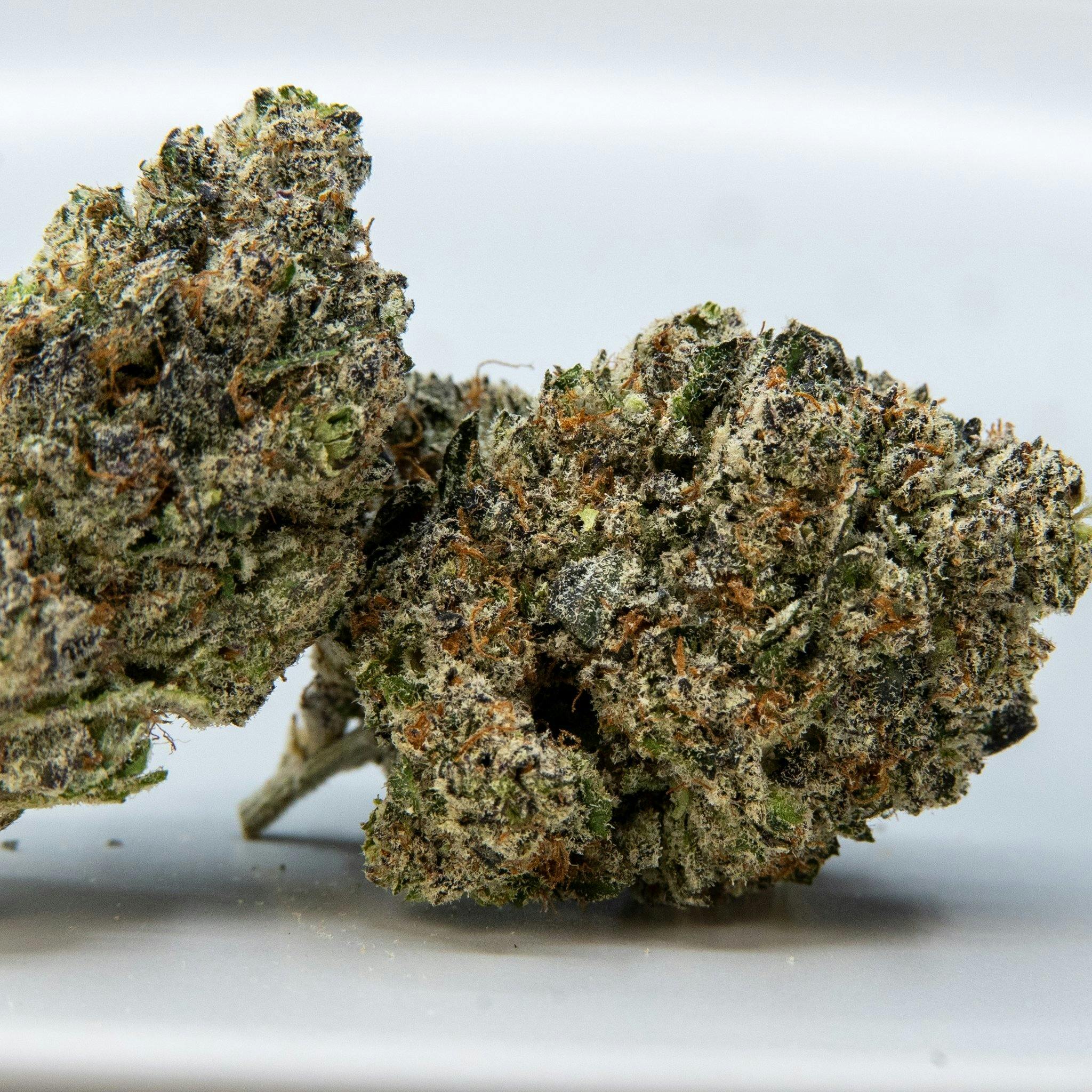 ThatGas | Fish Scale - 3.5g Flower - image 1