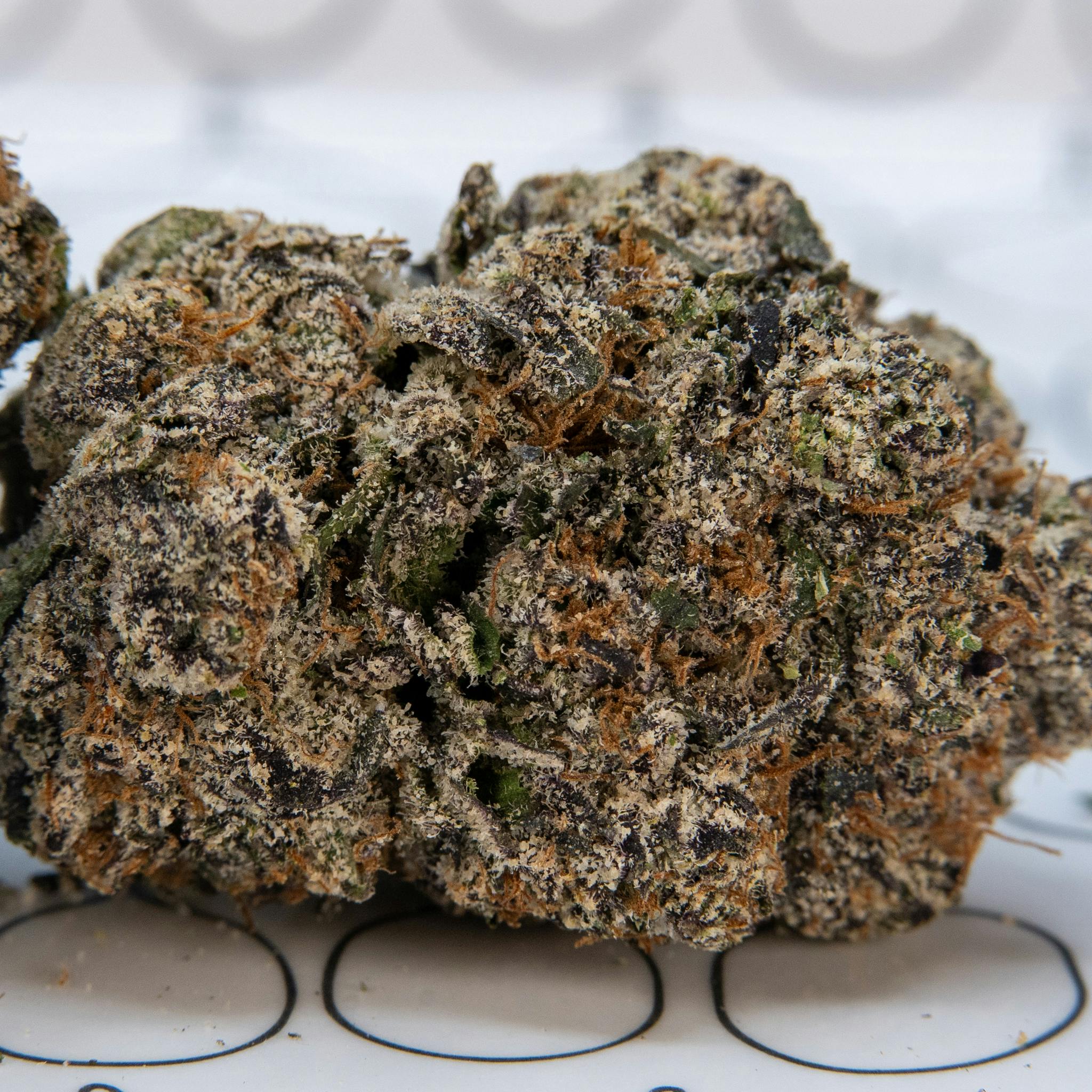 ThatGas | Pink Certz - 3.5g Flower - image 4