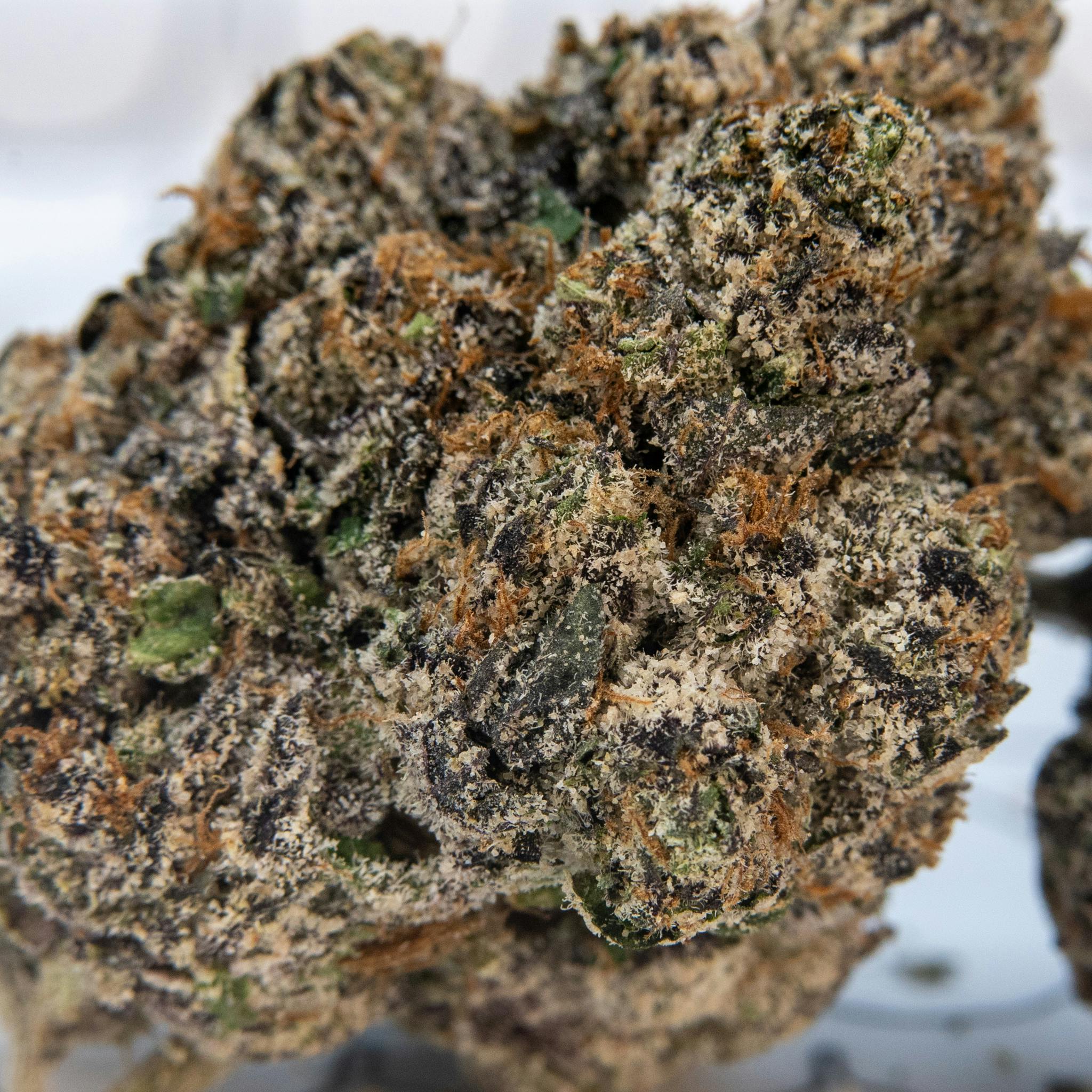 ThatGas | Pink Certz - 3.5g Flower - image 2