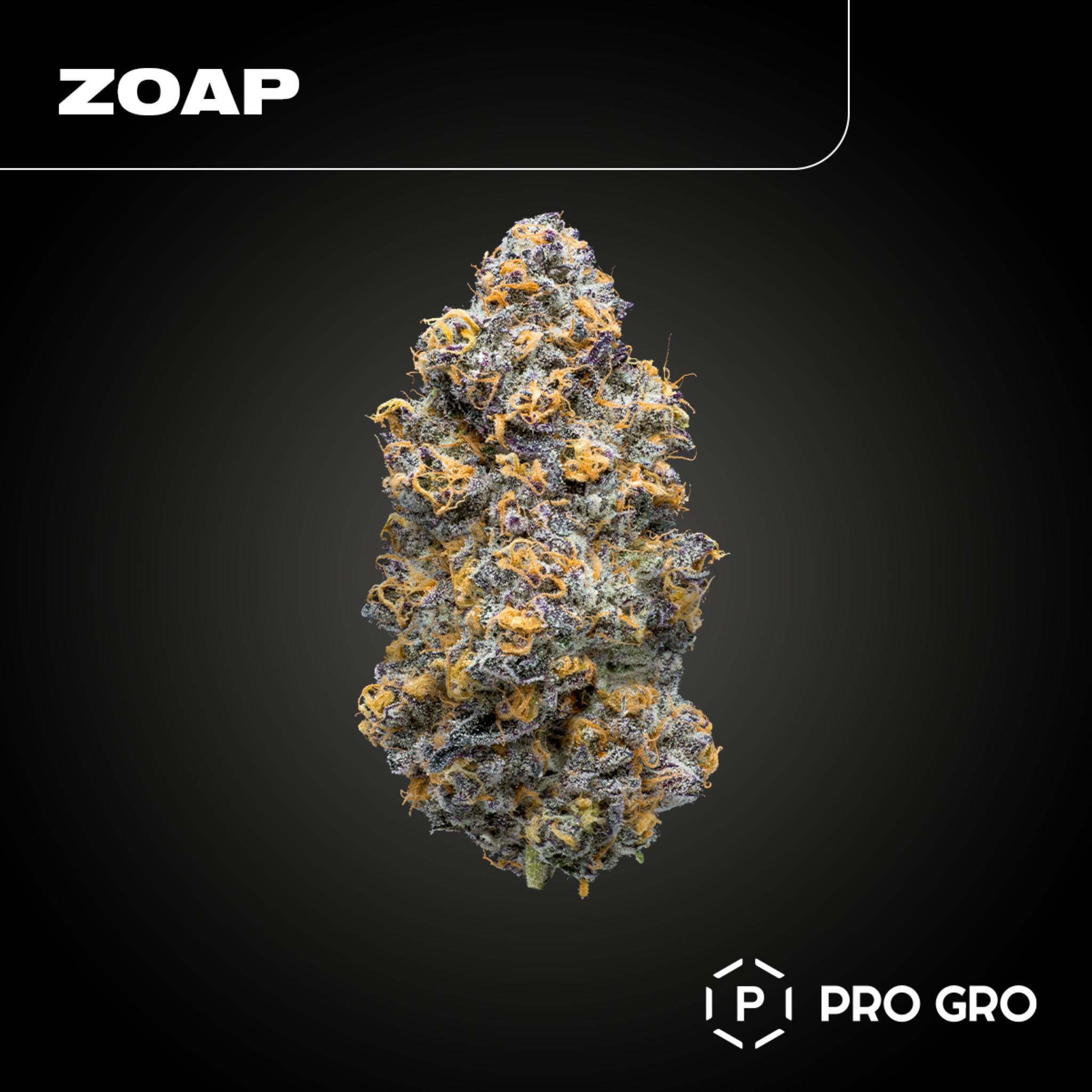 Zoap Pre-Pack | 3.5g - image 1