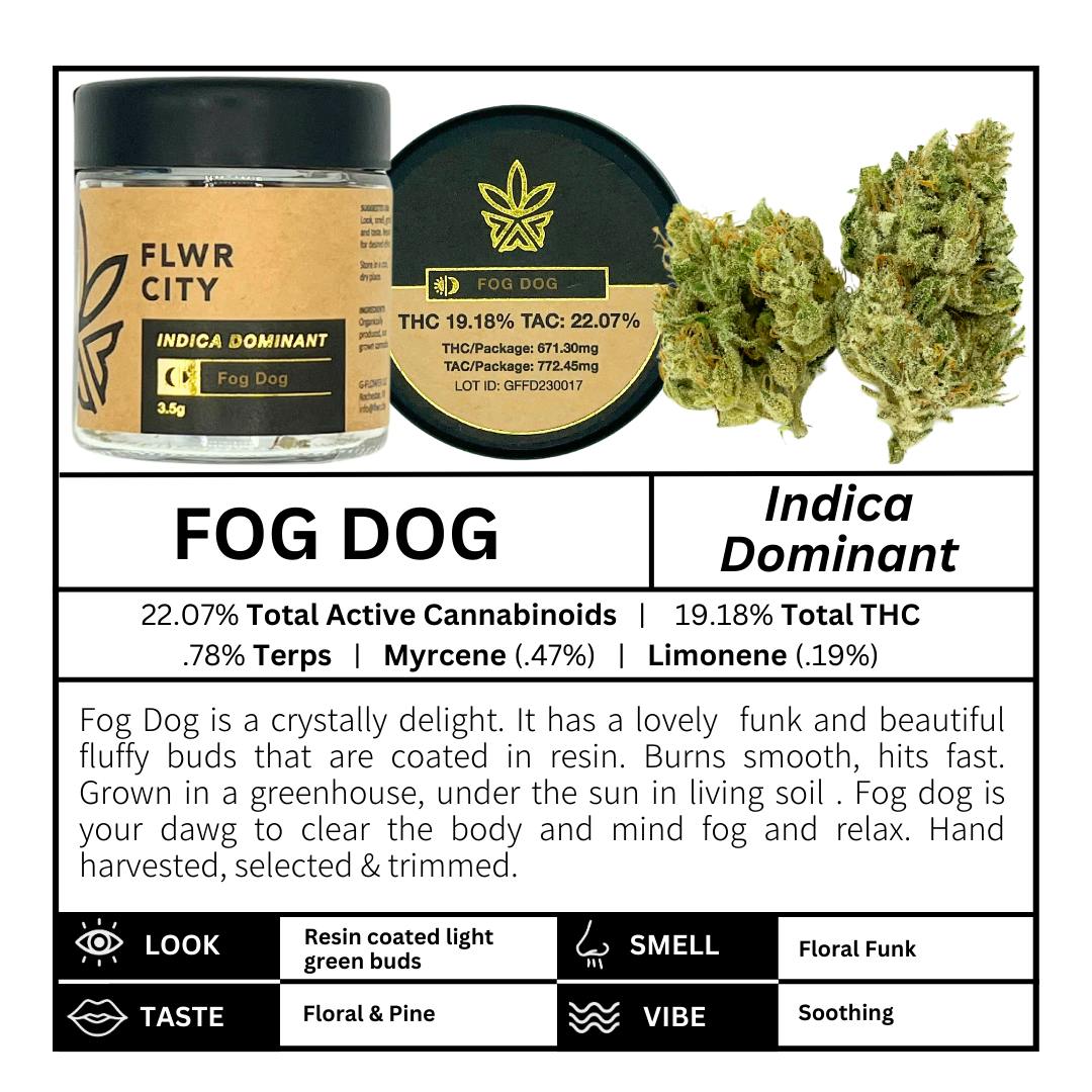 Fog Dog - 3.5g Jar Flower - image 1
