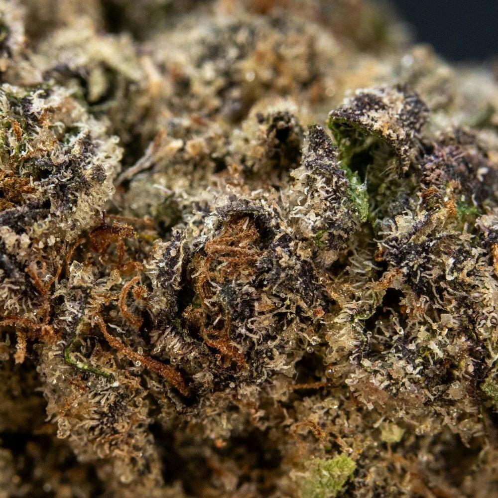 ThatGas | Jealous? - 5 X 0.5 Prerolls - image 3