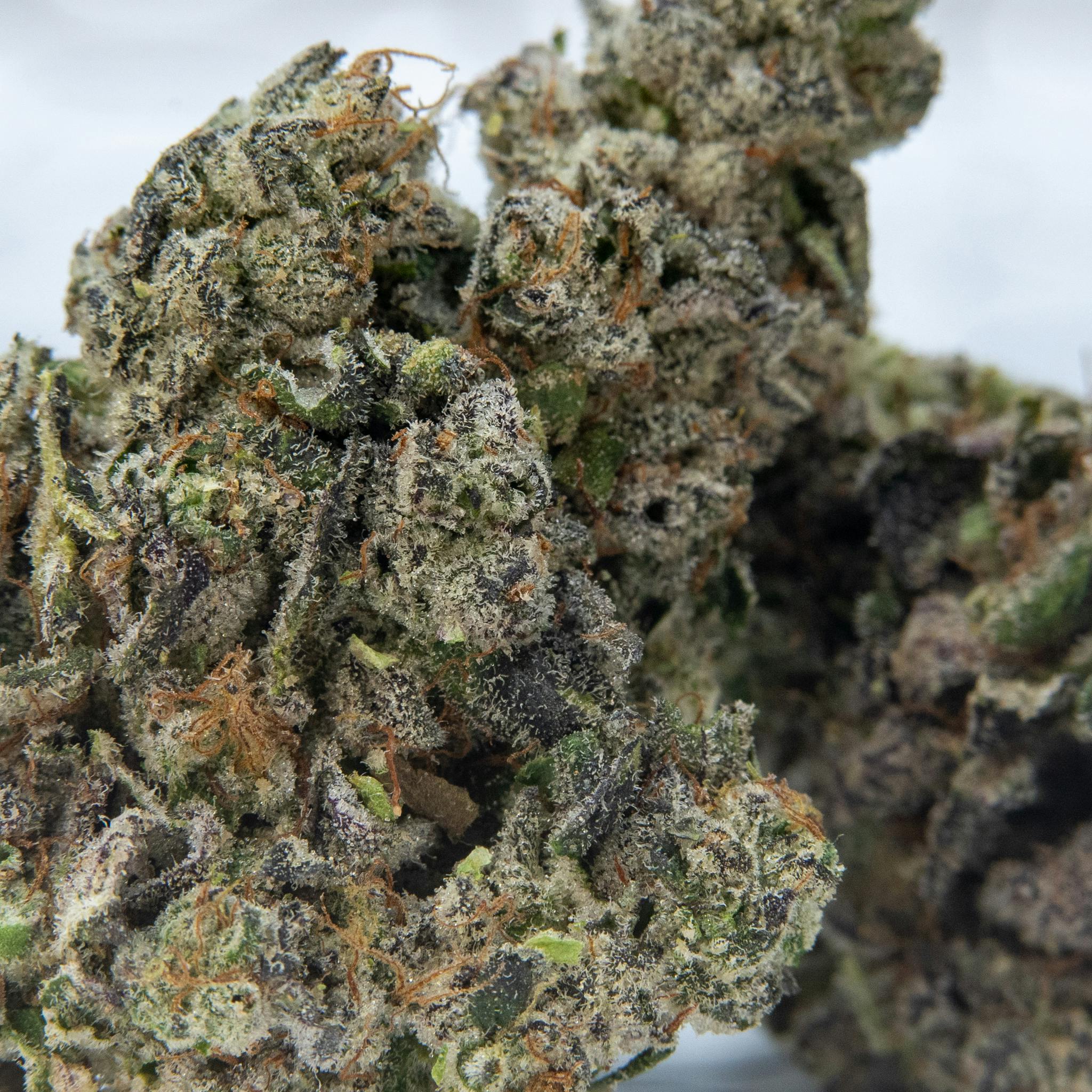 ThatGas | Vanilla Gummy - 5 X 0.5 Prerolls - image 3