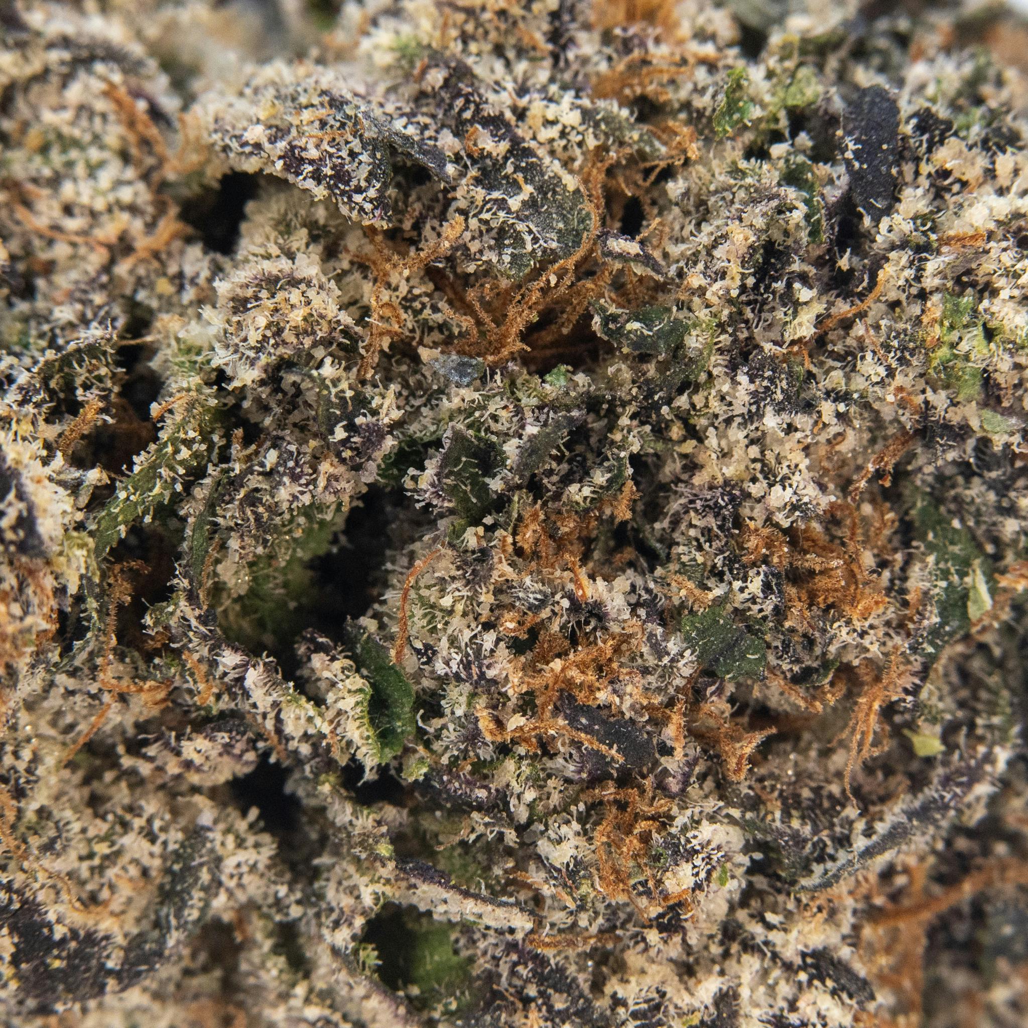 ThatGas | Pink Certz - 5 X 0.5 Prerolls - image 3
