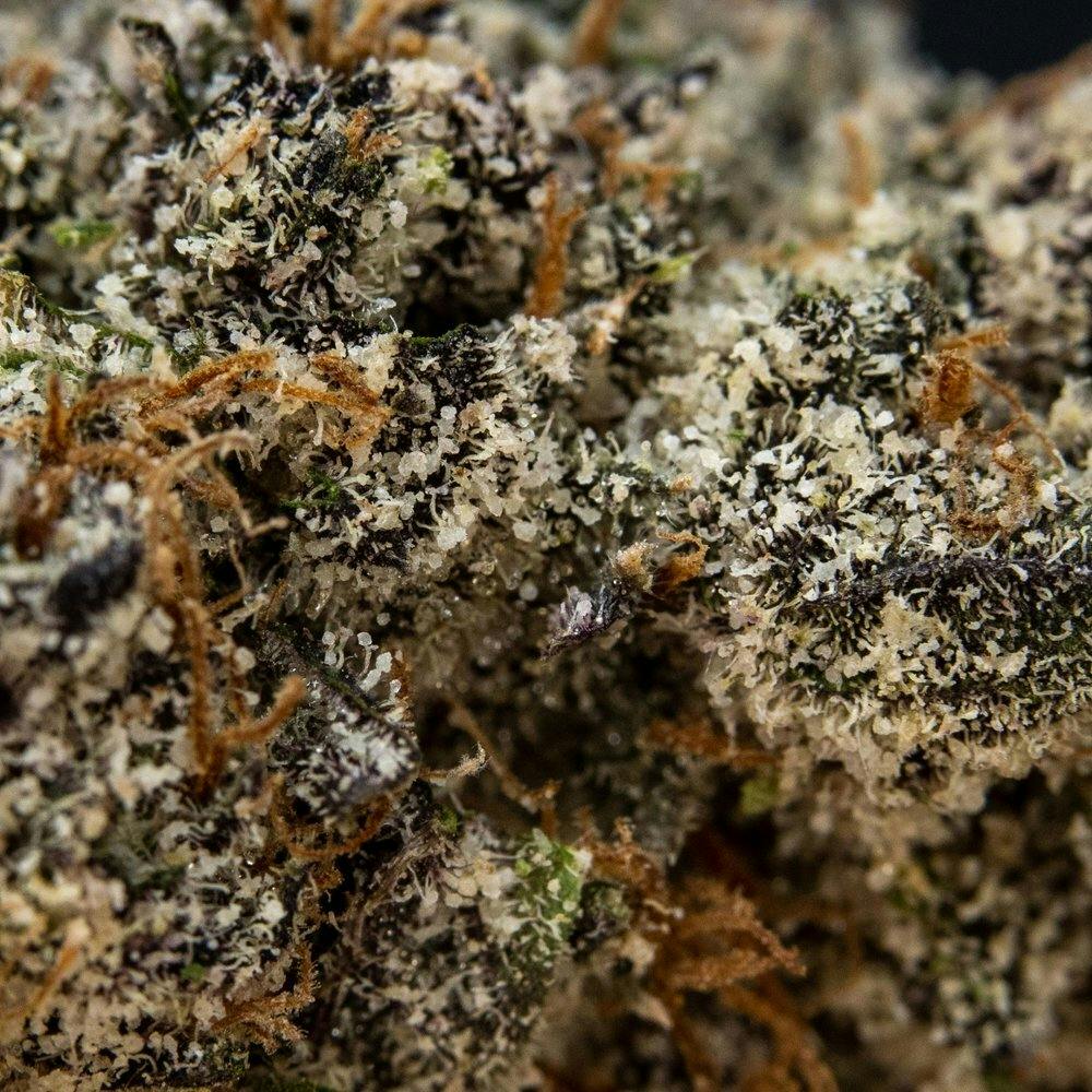 ThatGas | Diamond Infused Pink Runtz - 5 X 0.5 Prerolls - image 3