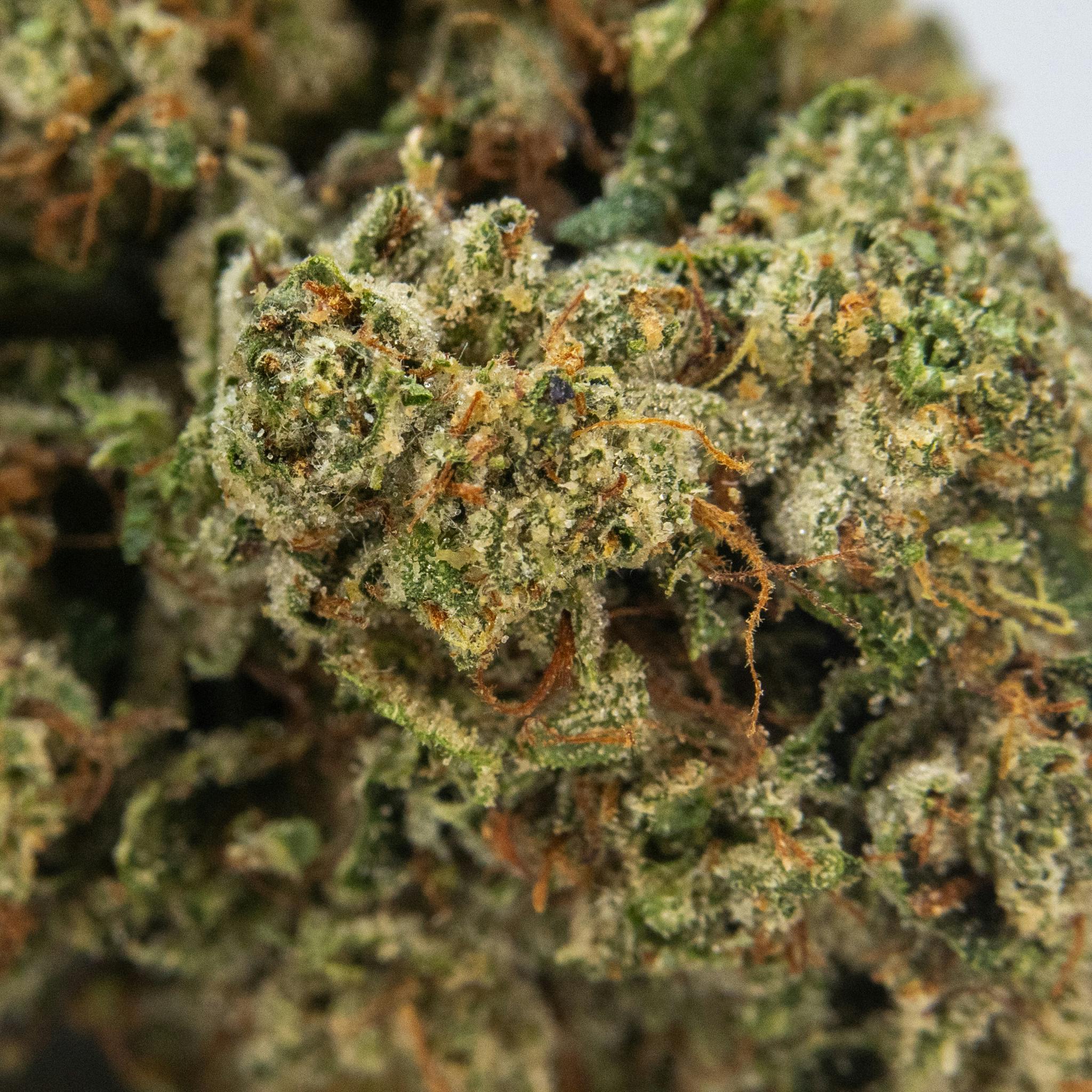 ThatGas | Diamond Infused Super Lemon Haze - 5 X 0.5 Prerolls - image 3