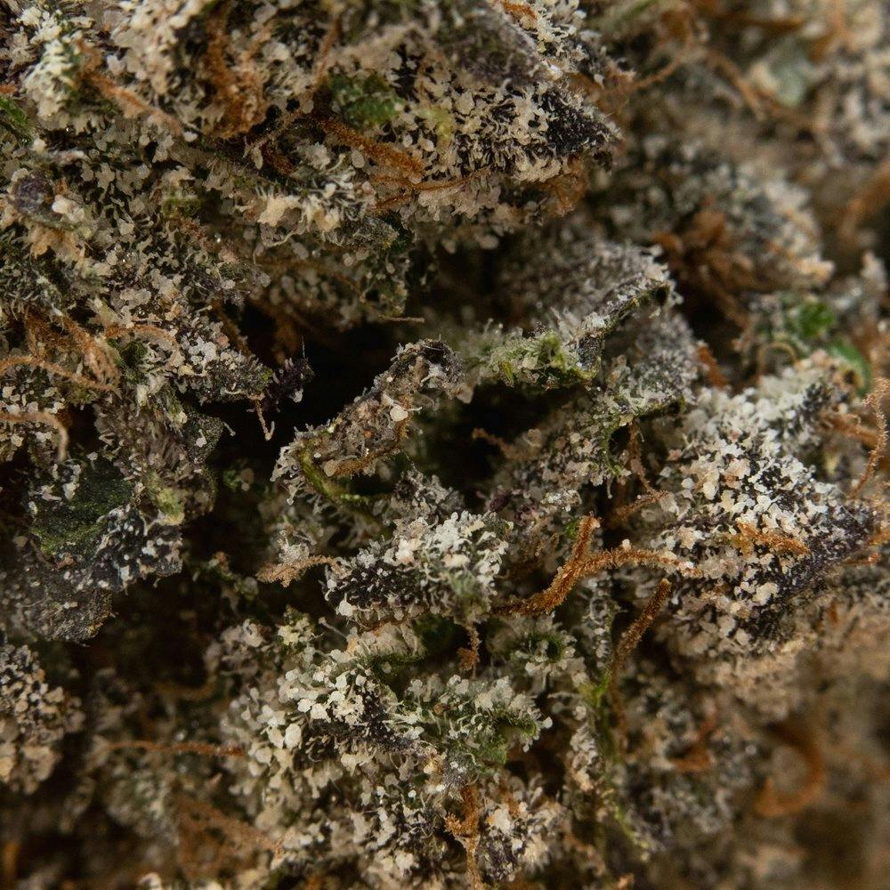 ThatGas | Lemon Cherry Gelato - 3.5g Smalls - image 2