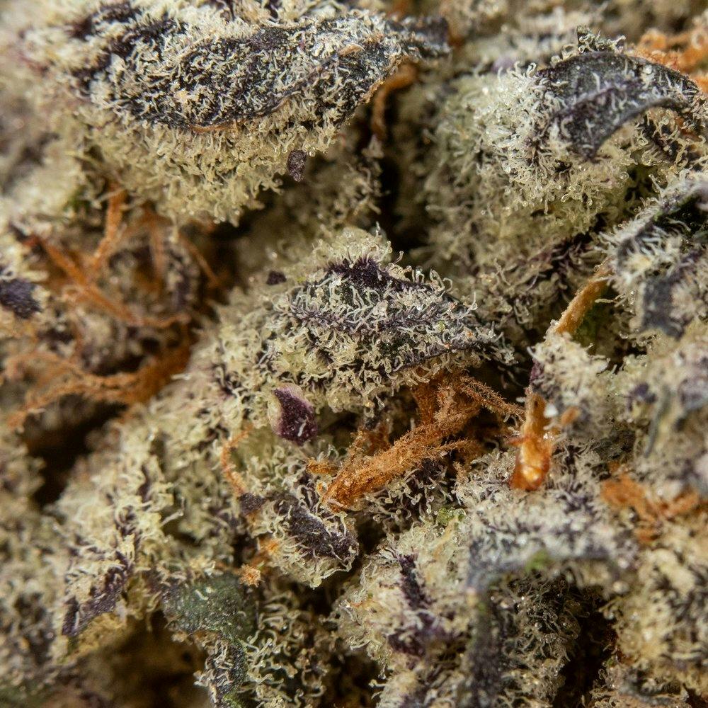 ThatGas | Chocolate Truffle - 3.5g Smalls - image 1