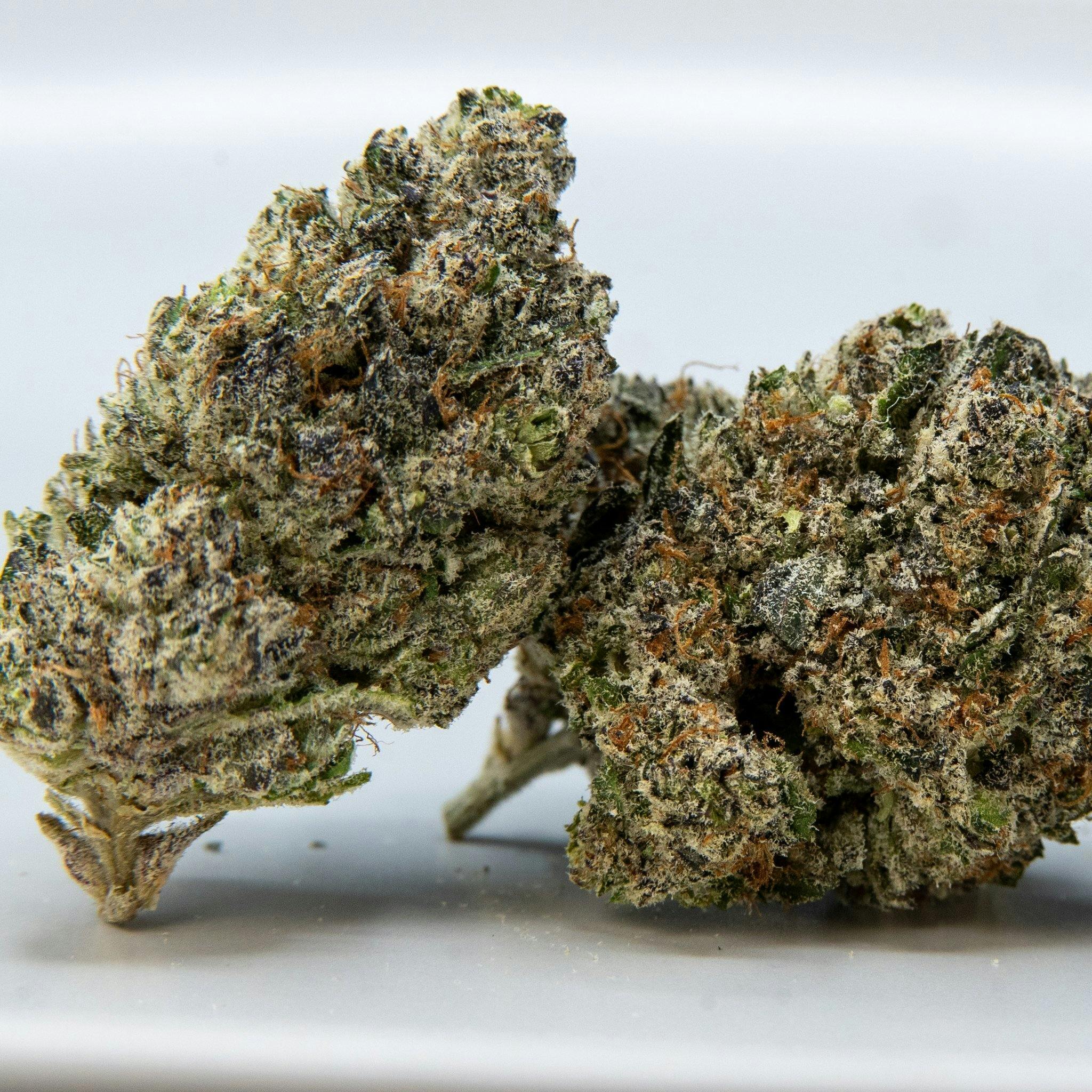 ThatGas | Fish Scale - 3.5g Smalls - image 3