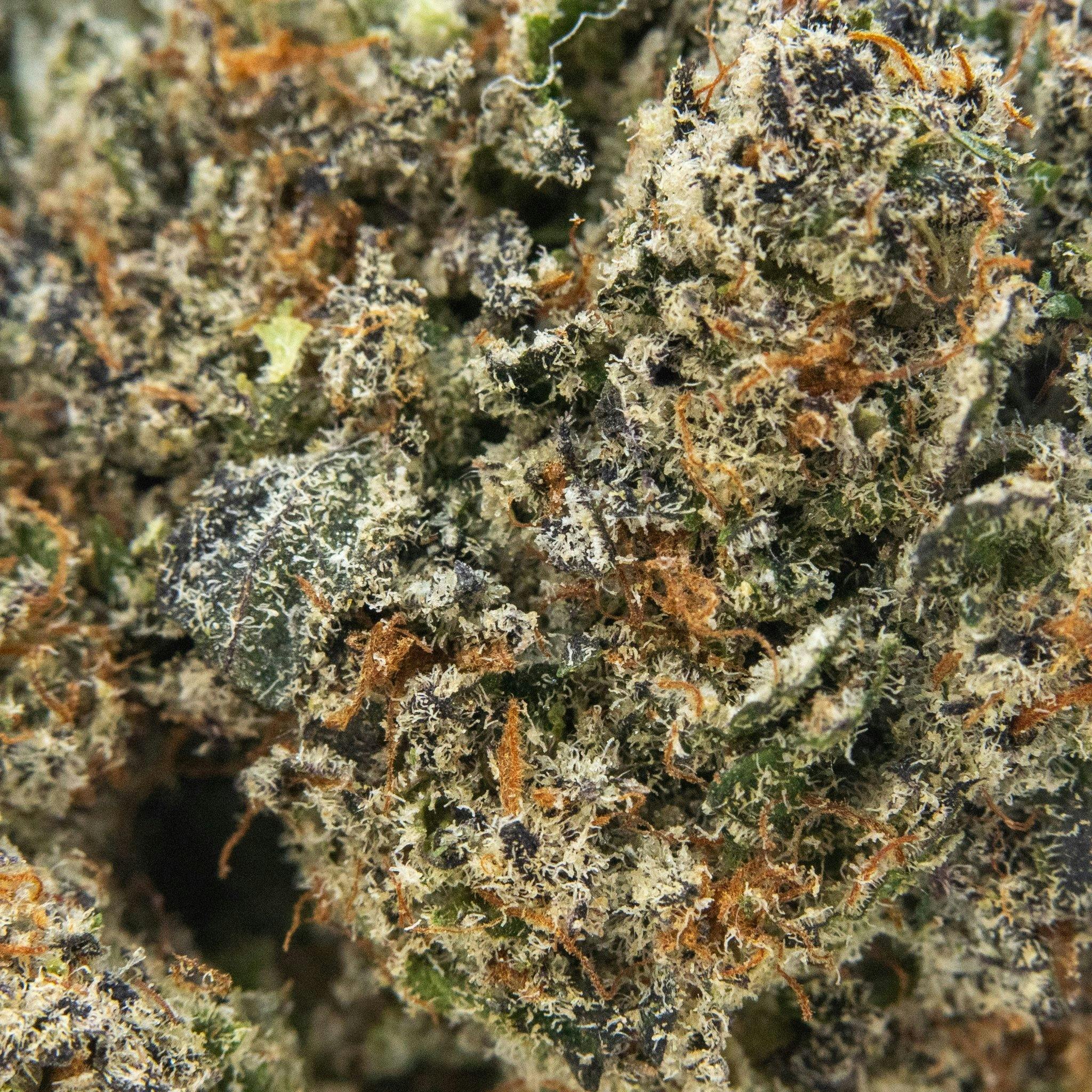 ThatGas | Fish Scale - 3.5g Smalls - image 1