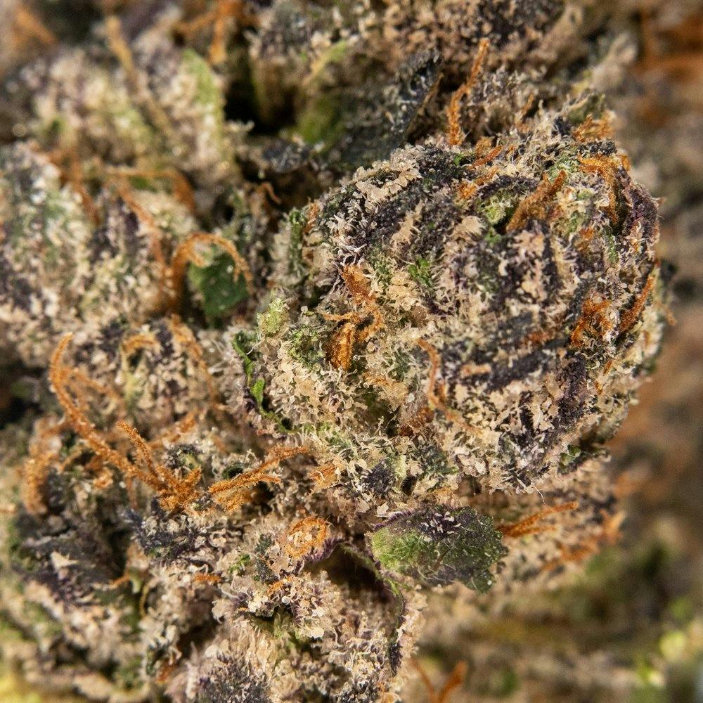 ThatGas | White Gummy - 3.5g Smalls - image 2
