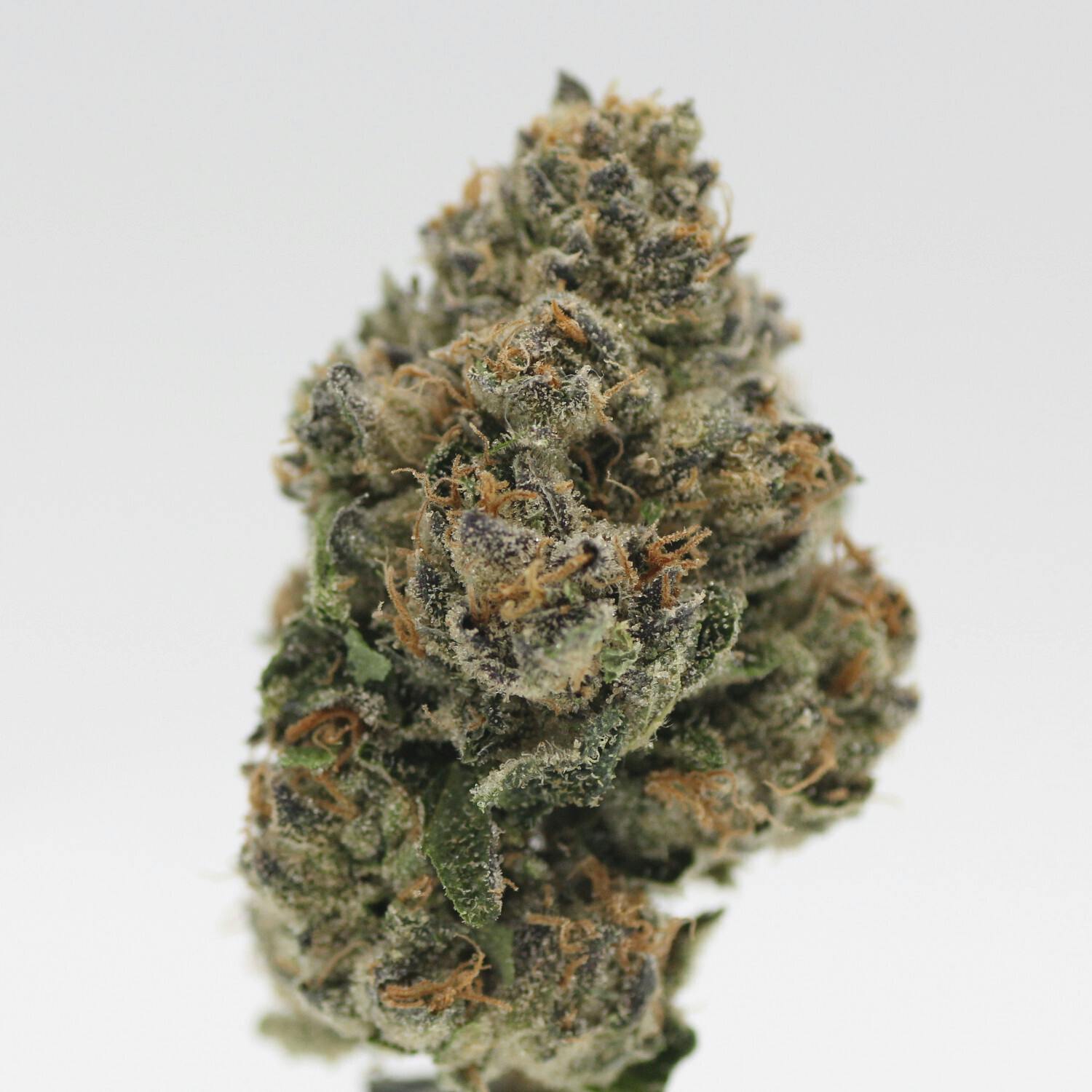 Banana Runtz | Flower | 1g - image 1