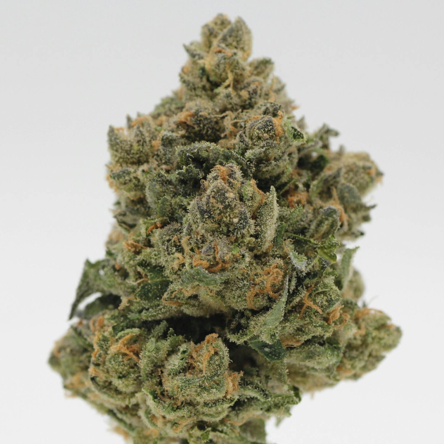 Coldstone | Flower | 1g - image 1