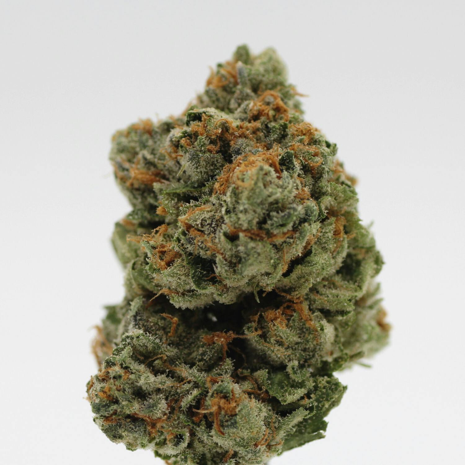 Gelato 41 | Flower | 28g - image 1