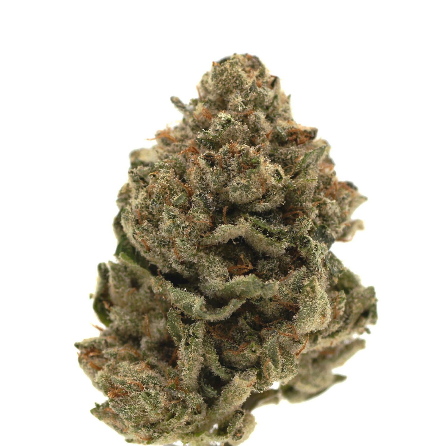 Gluelato | Flower | 28g - image 1