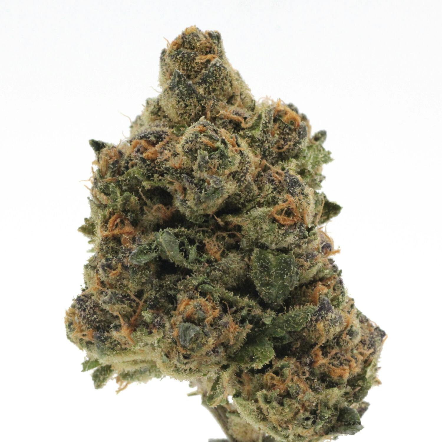 Horchata | Flower | 14g - image 1
