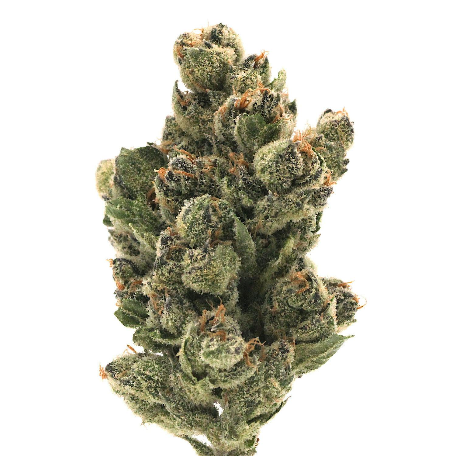 Pink Certz | Flower | 28g - image 1