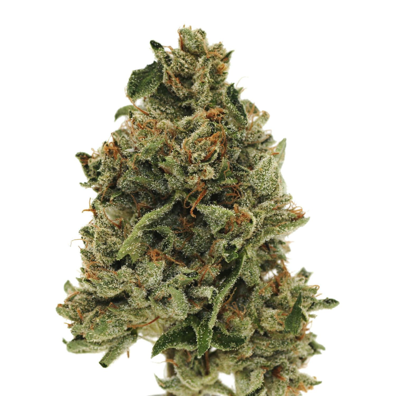 Press OG | Flower | 1g - image 1