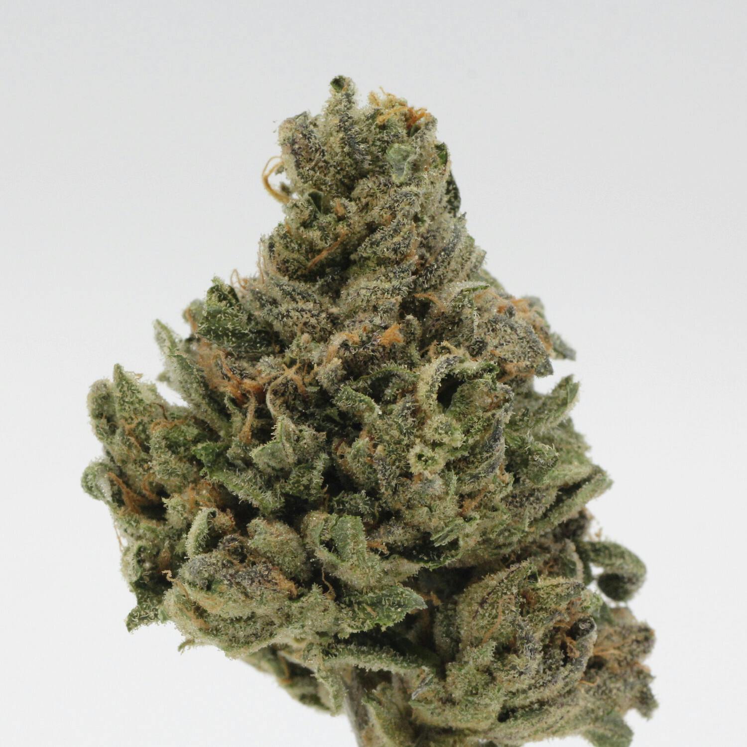 Rainshadow Runtz | Flower | 28g - image 1