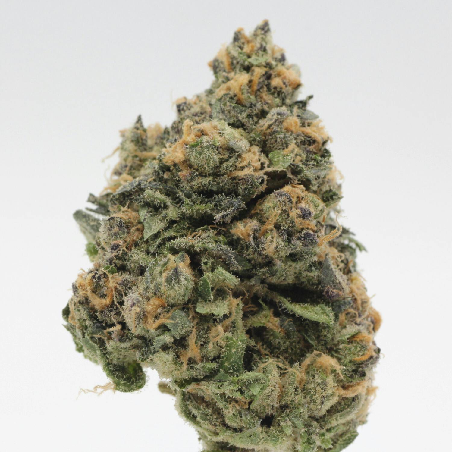 Stardawg Gelato | Flower | 1g - image 1
