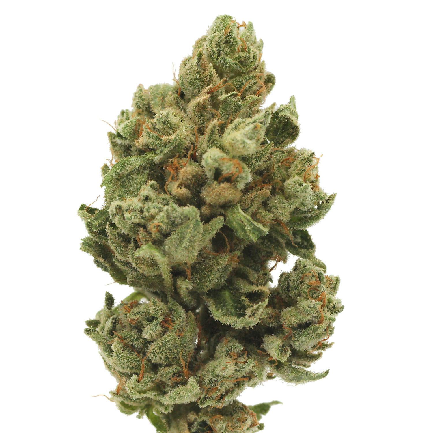 The Glue | Flower | 3.5g - image 1