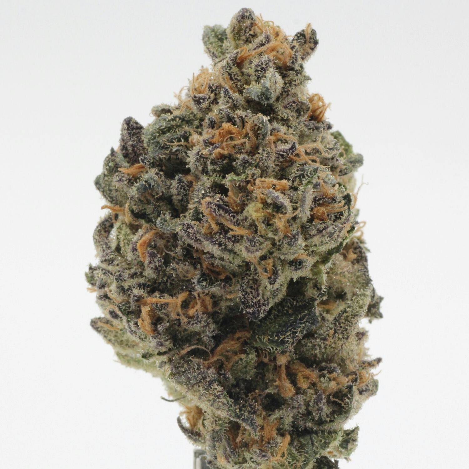 XYZ | Flower | 1g - image 1