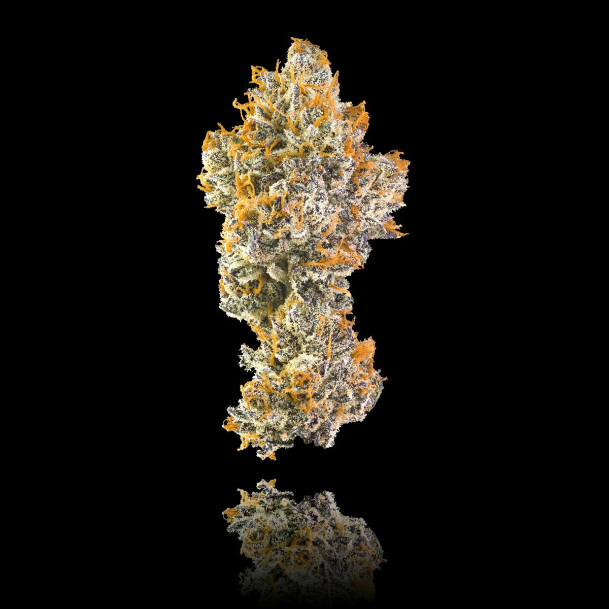 Orange Bellini Pre-Roll [1g] - image 2