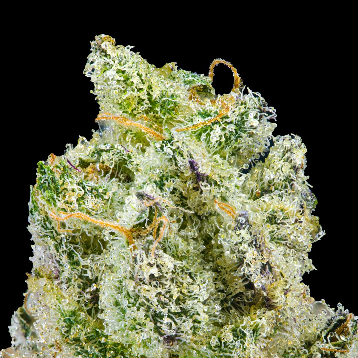 Paradiso Pre-Roll [1g] - image 4