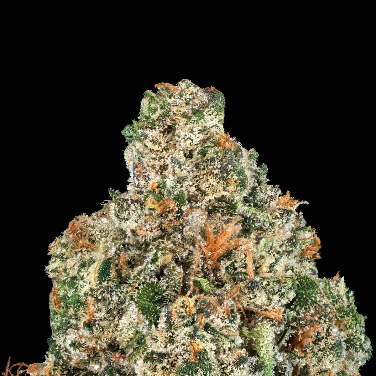 Sherb Mints Pre-Roll [1g] - image 3