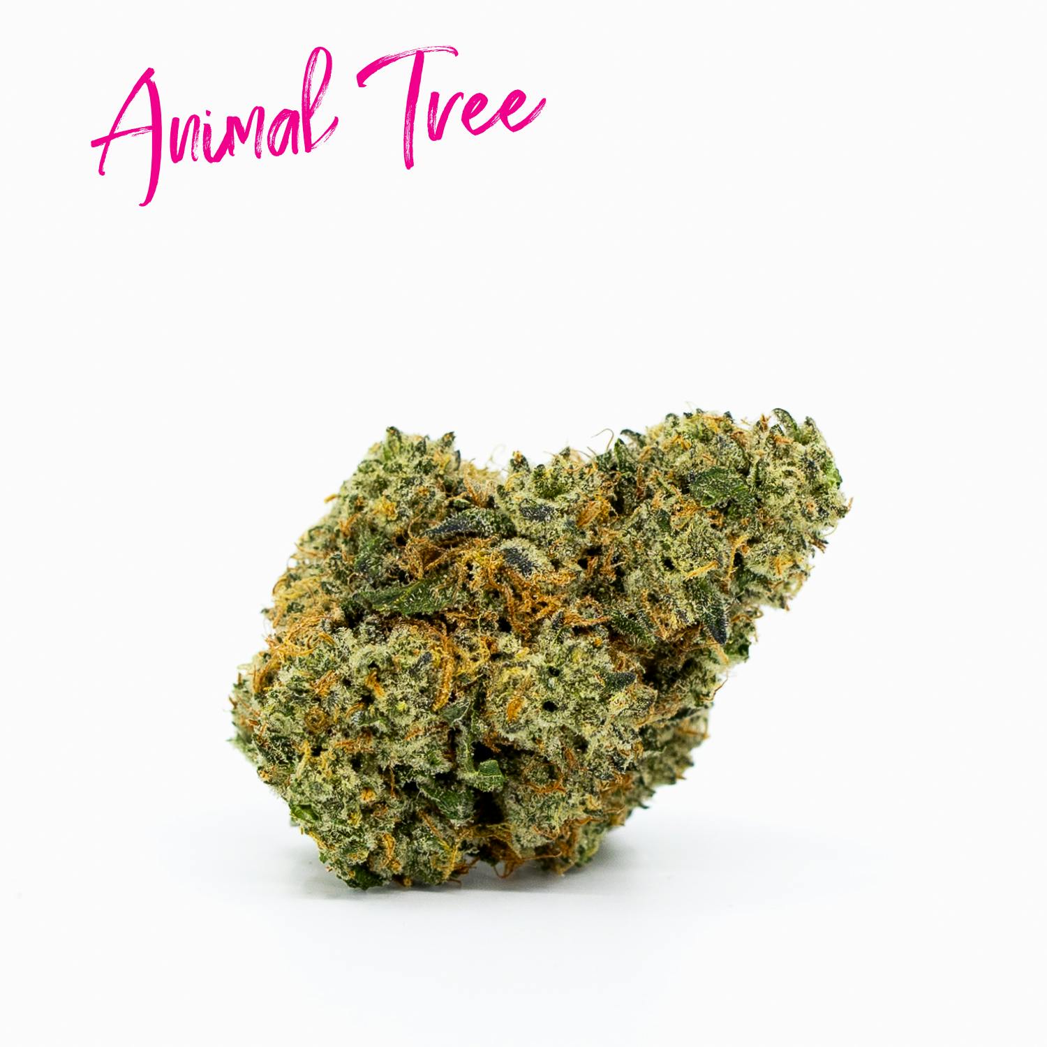Candela Animal Tree 3.5G Prepack - image 2