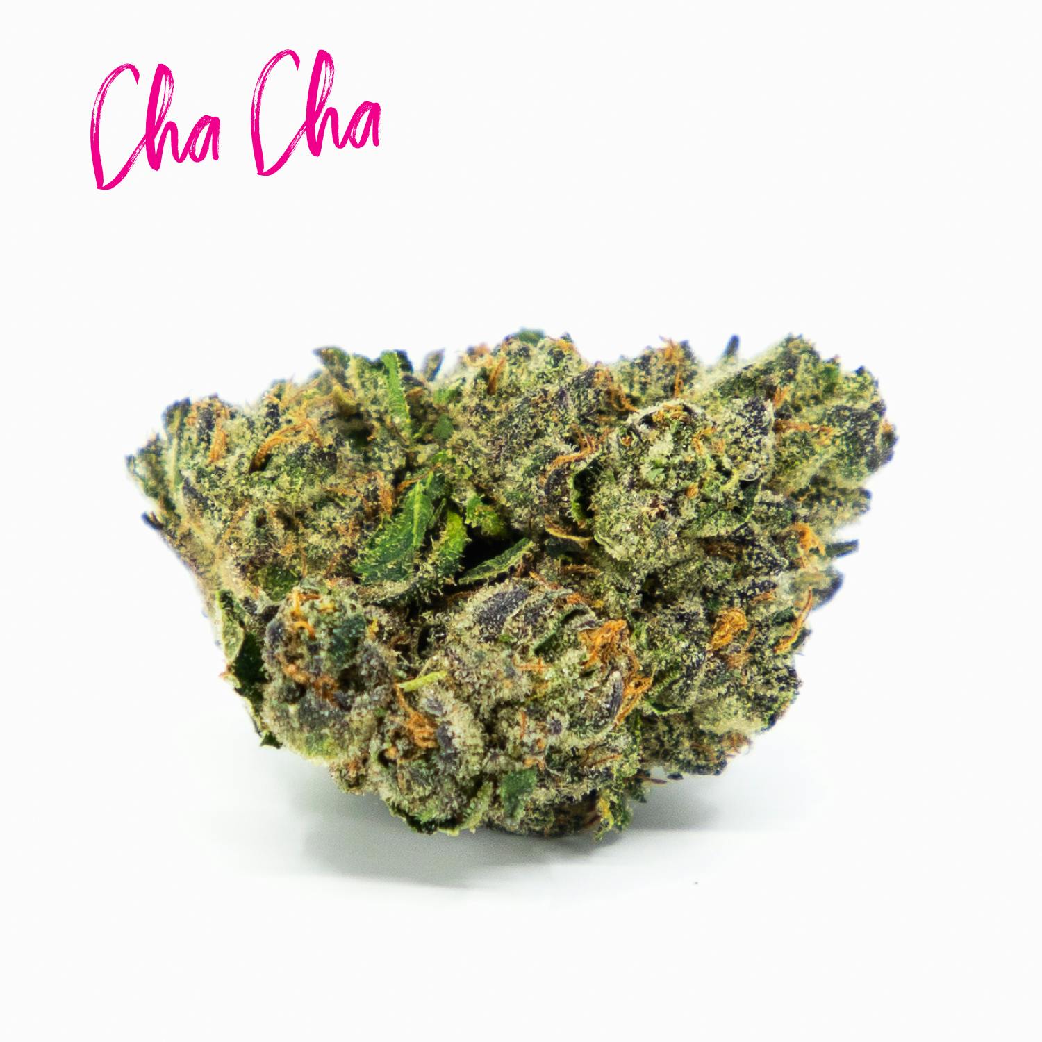 Candela Cha Cha 3.5G Prepack - image 2