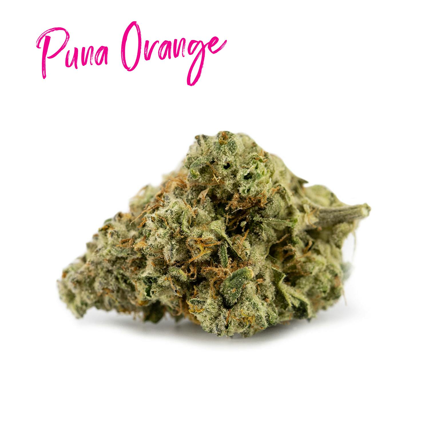 Candela Puna Orange 3.5G Prepack - image 2