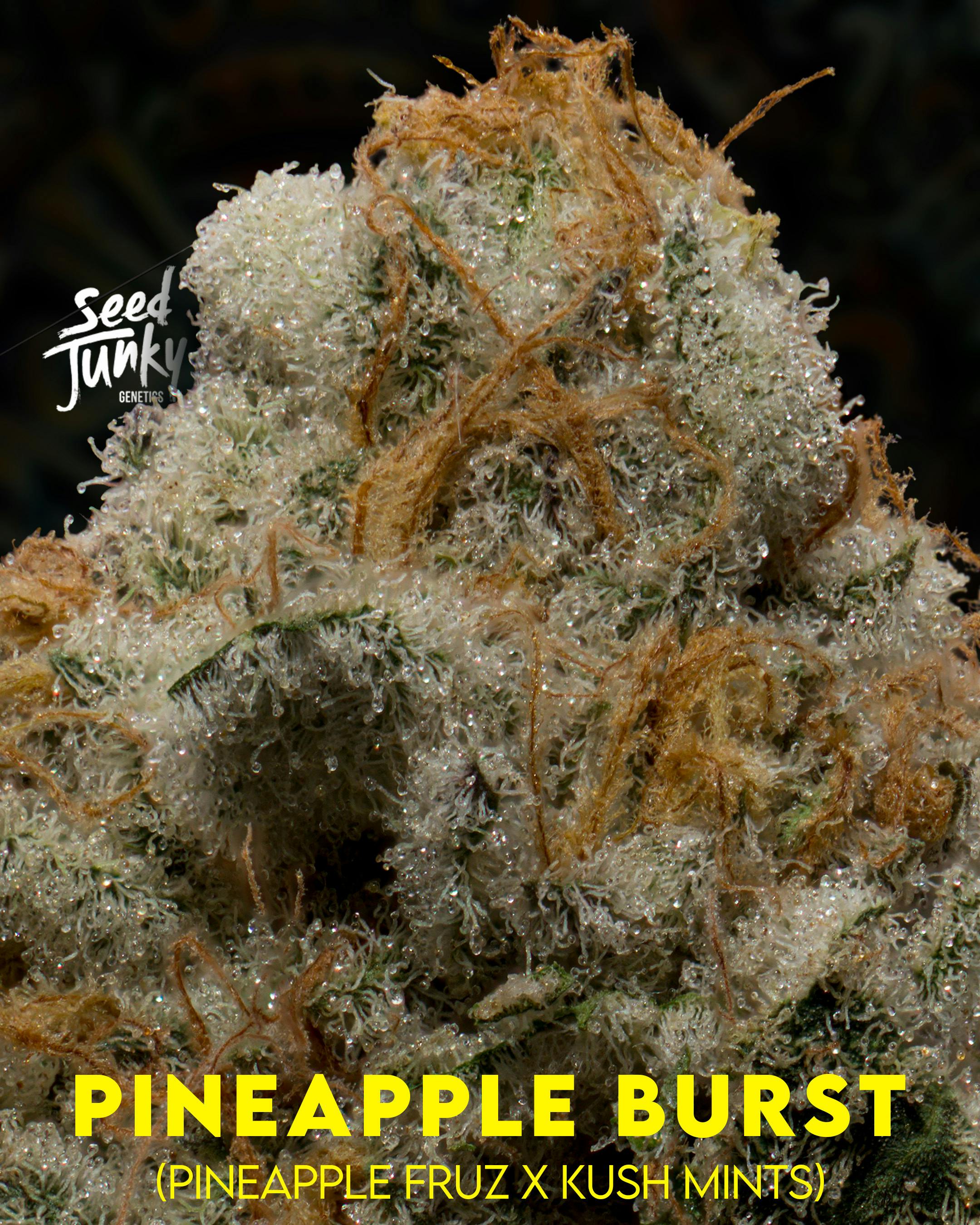 Flower: Pineapple Burst - image 1