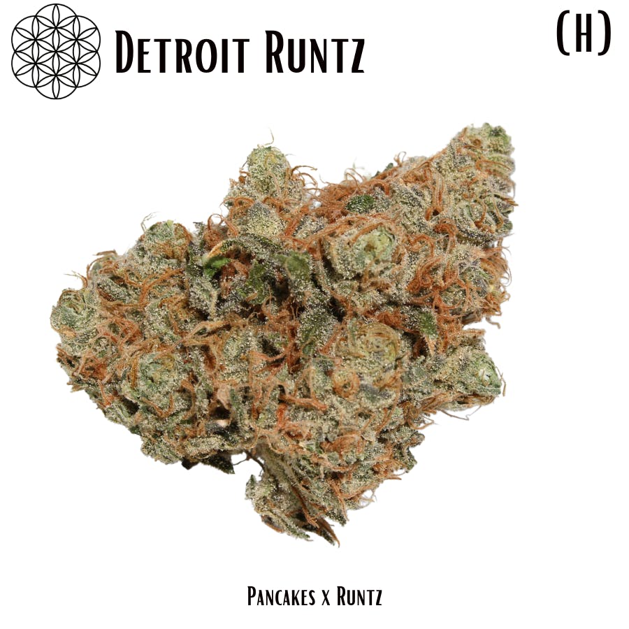 Detroit Runtz Flower - image 1